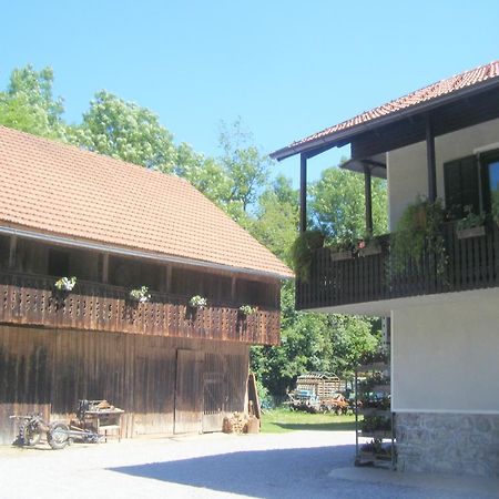 Guest House Kmetija Dane Εξωτερικό φωτογραφία