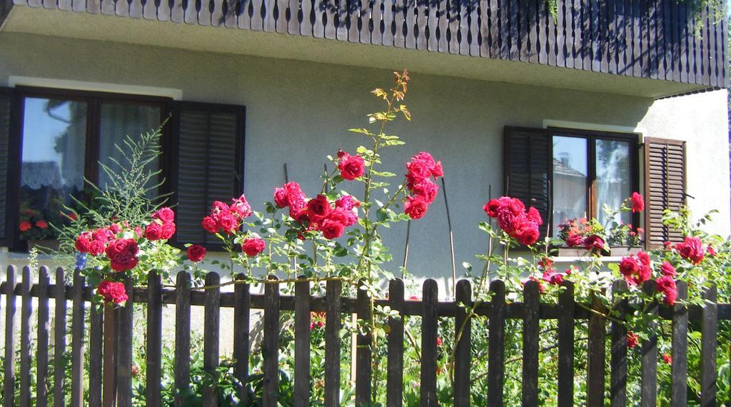 Guest House Kmetija Dane Εξωτερικό φωτογραφία