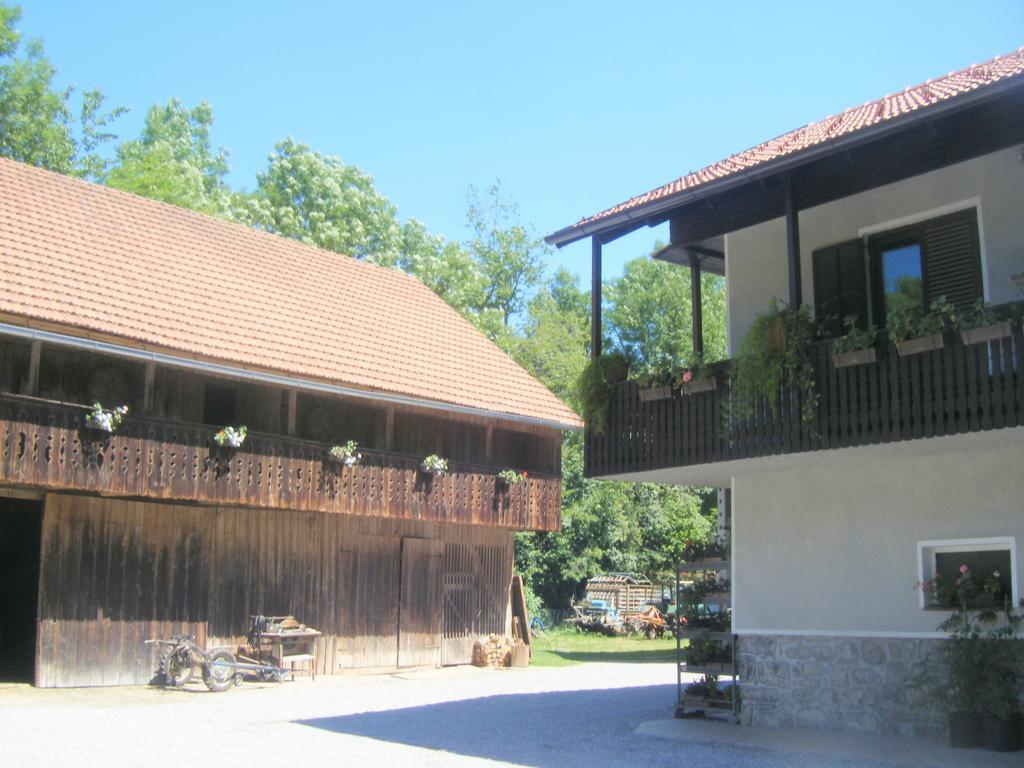 Guest House Kmetija Dane Εξωτερικό φωτογραφία