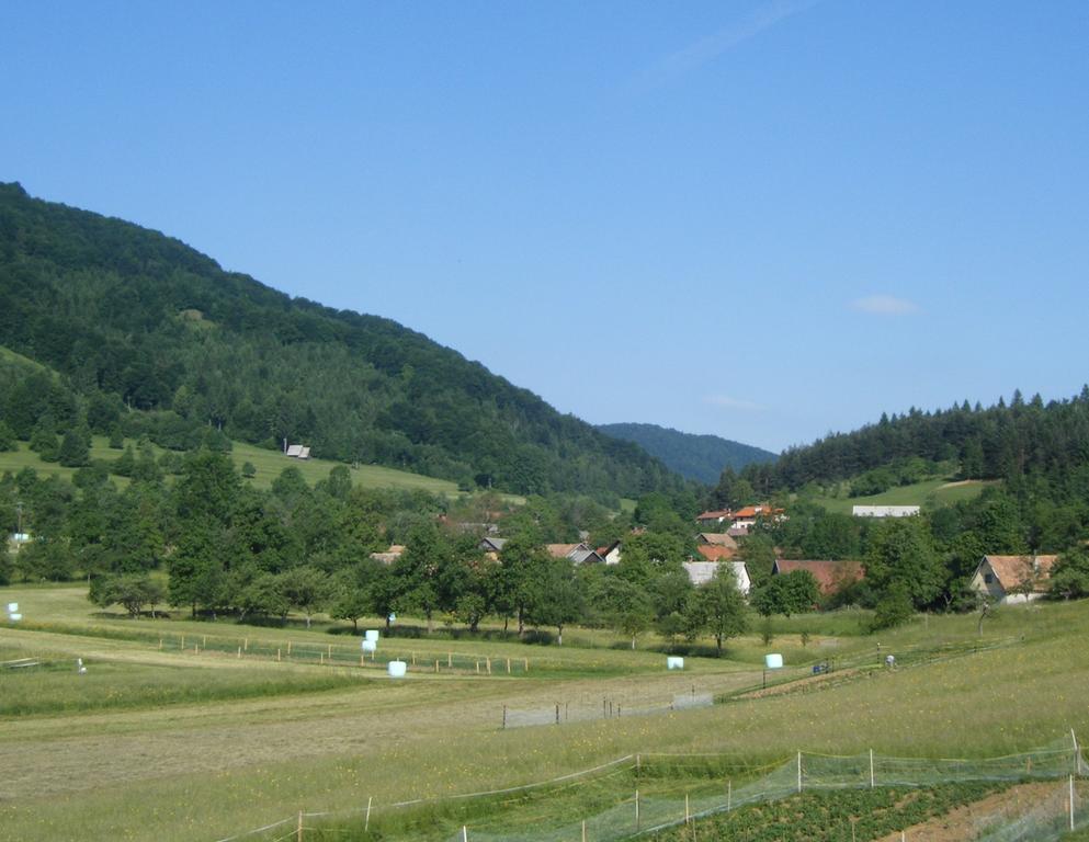 Guest House Kmetija Dane Εξωτερικό φωτογραφία